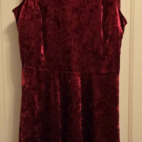 Burgundy Velvet Sleeveless Fit & Flare Dress - Picture 2 of 3